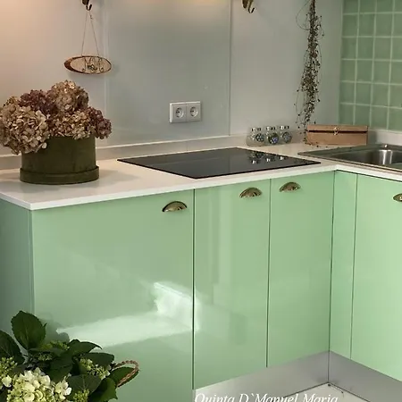 Quinta D'manuel Maria- Rural Charm Villa Amarante