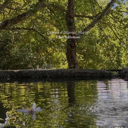 Quinta D'manuel Maria- Rural Charm Βίλα *