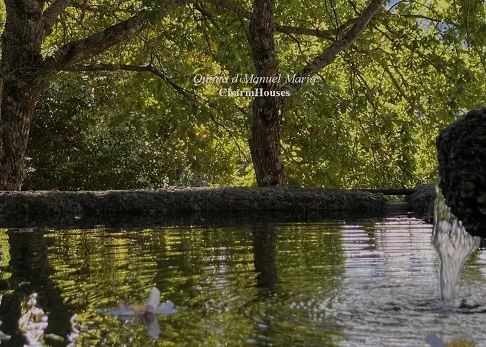 Quinta D'manuel Maria- Rural Charm Villa *